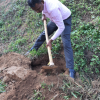 2020 - World Environment Day
